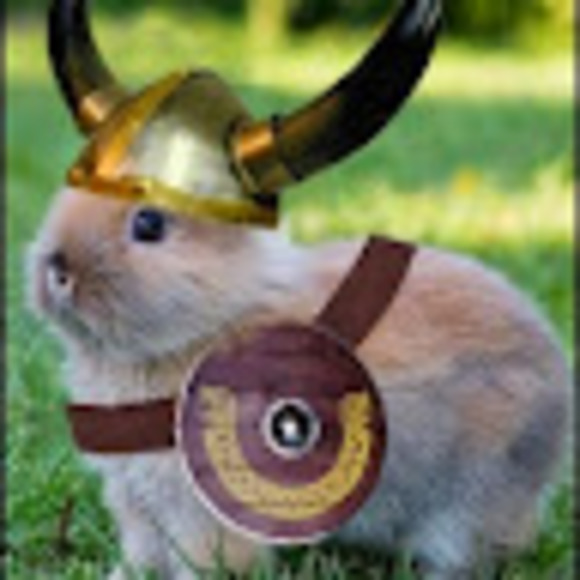 mrsvikingbunny